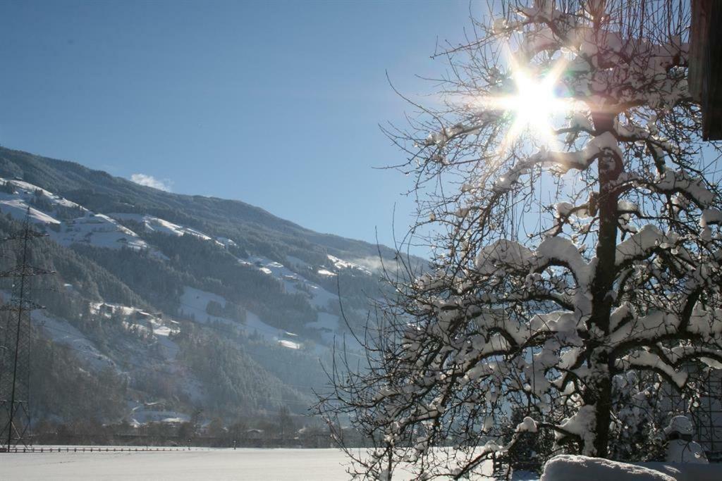 Schweinberger Sixtus Aschau Im Zillertal Exterior foto